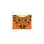 Salwar Kameez Ladies - Orange Sweetheart