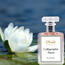 Parfüm Calligraphic Aqua Eau de Perfume Spray Sultan Essancy