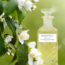 Perfume oil Jasmine Fancy by Sultan Essancy- Perfume free from alcohol