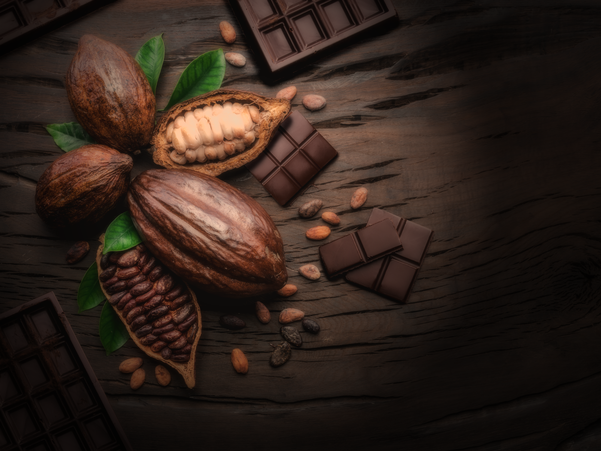 Kakao: Die unkonventionelle Verlockung in der Parfümerie