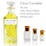 Concentrated perfume oil Citrus Cavallier - Perfume free from alcohol