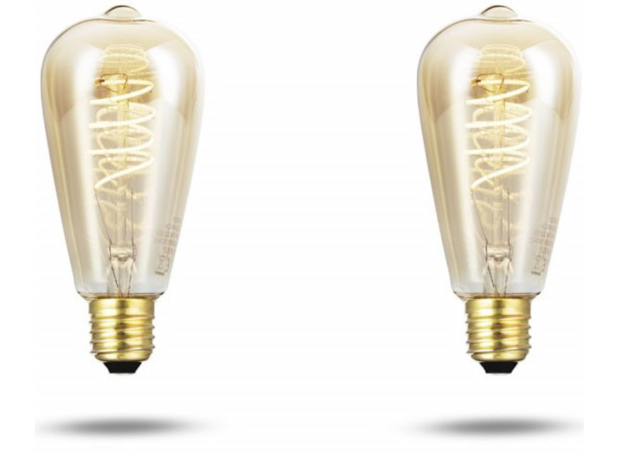LED Kooldraadlampen 350 lumen - 2 stuks Mascot Online