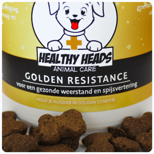 Healthy Heads Golden Resistance Brokken Hond - 180g