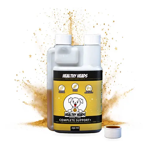 Healthy Heads Complete Support + (vloeibaar) - Hond Healthy Heads Complete Support + (vloeibaar) - Hond