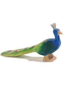 Ostheimer Peacock