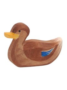 Ostheimer Duck Swimming