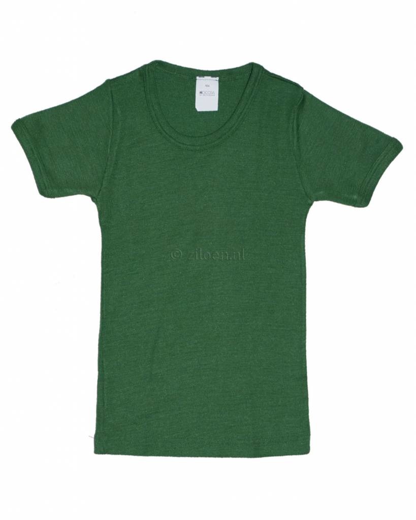 https://cdn.webshopapp.com/shops/294759/files/313817476/hocosa-kids-t-shirt-wool-silk-green.jpg