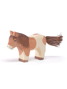 Ostheimer Shetland pony standing