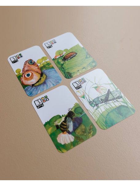 Kraul Animal quartets card game