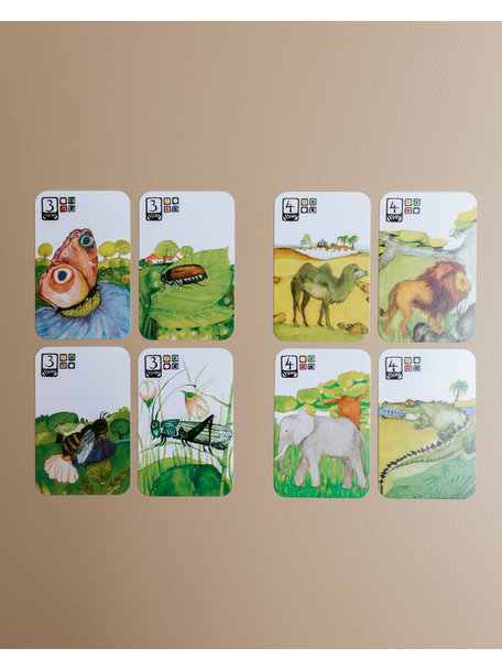 Kraul Animal quartets card game