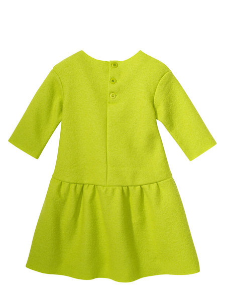 Disana Dress - apple green