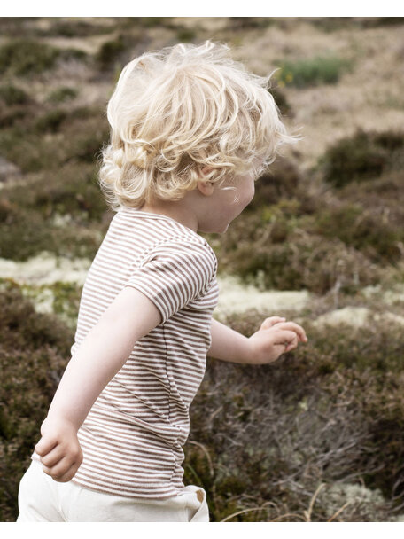 Serendipity Short-sleeved shirt - striped - acorn/offwhite