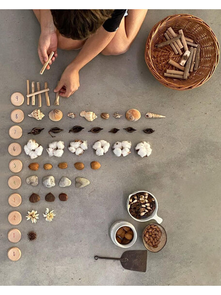 Grapat Wooden Coins to count