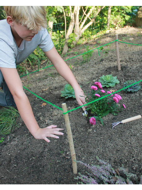 Huckleberry Make your garden