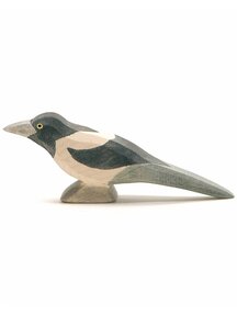 Ostheimer Magpie