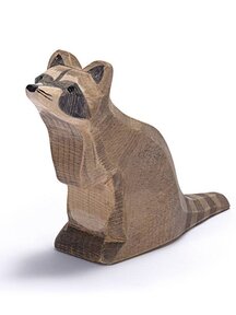 Ostheimer Raccoon Sitting
