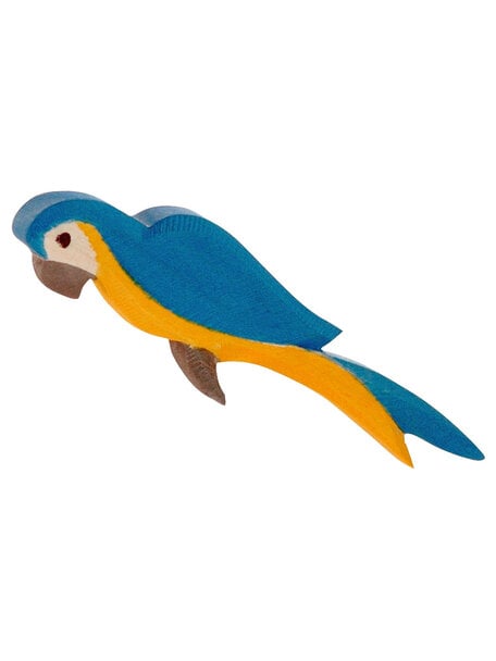 Ostheimer parrot - blue