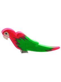 Ostheimer parrot - green