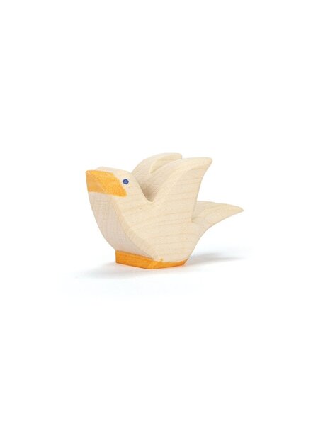 Ostheimer Pigeon - flying