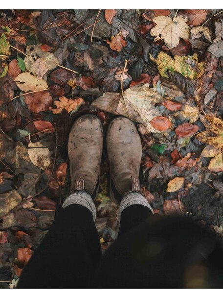 Blundstone Chelsea boots 1351 women's - rustic brown