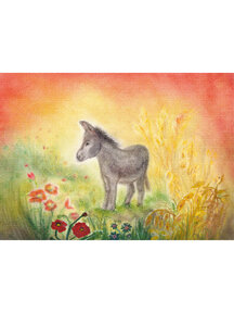 Seccorell Postcard - donkey