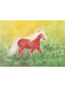 Seccorell Postcard - horse