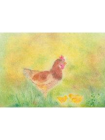 Seccorell Postcard - chicken with chicks