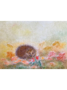 Seccorell Postcard - hedgehog