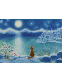 Seccorell Postcard - little fox at the lake
