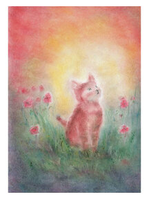 Seccorell Postcard - kitten