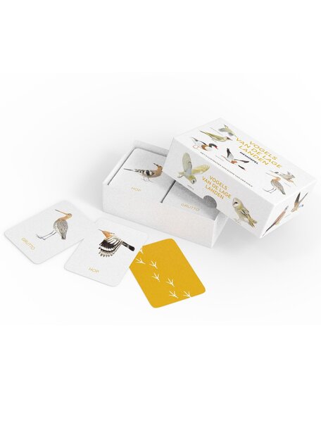 Kosmos Memory game - birds
