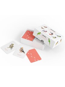 Kosmos Memory game - birds around the house