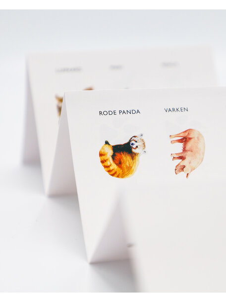 Kosmos Memory game - animals and tracks