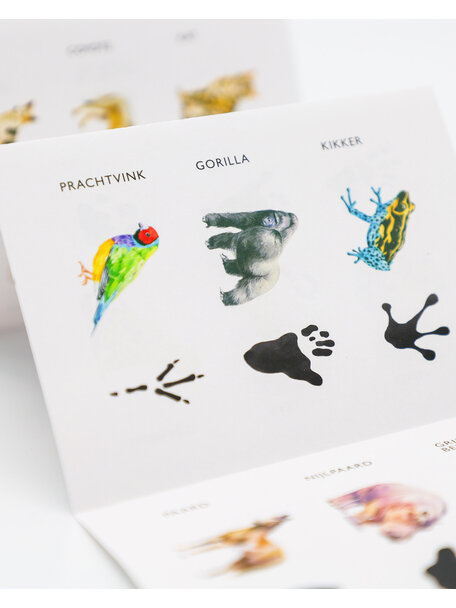 Kosmos Memory game - animals and tracks