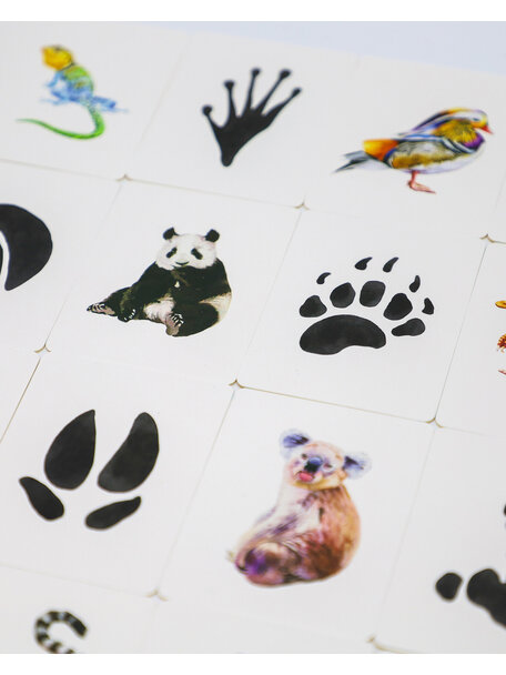Kosmos Memory game - animals and tracks
