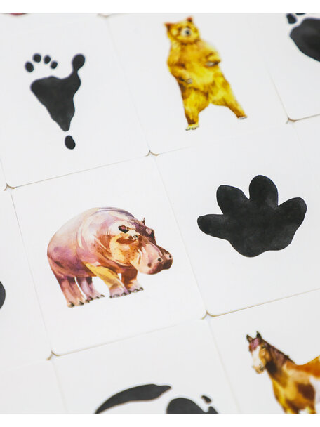 Kosmos Memory game - animals and tracks