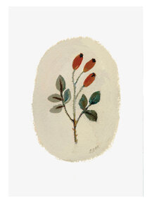 Gemma Koomen Folded card - rosehips
