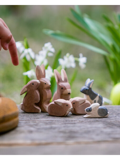 Ostheimer Rabbit Sitting