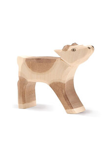Ostheimer Reindeer calf