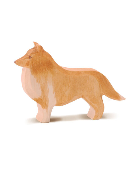 Ostheimer Collie