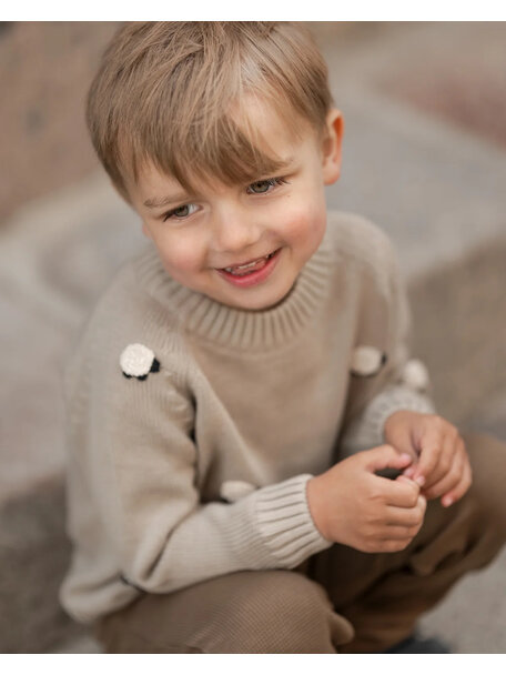 Hanevild Children's sweater Lars with sheep