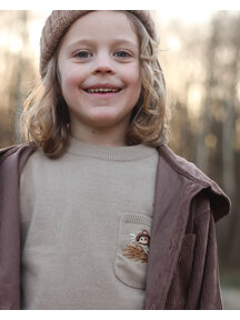 Hanevild Children's sweater Albert with little mouse