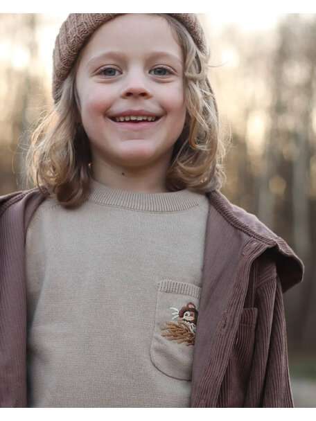 Hanevild Children's sweater Albert with little mouse