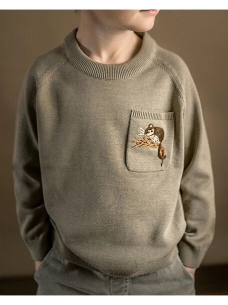 Hanevild Children's sweater Albert with little mouse