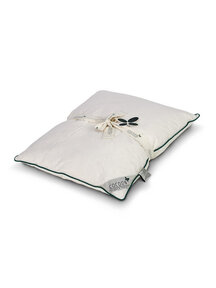 Cocoon Company Adult pillow - kapok