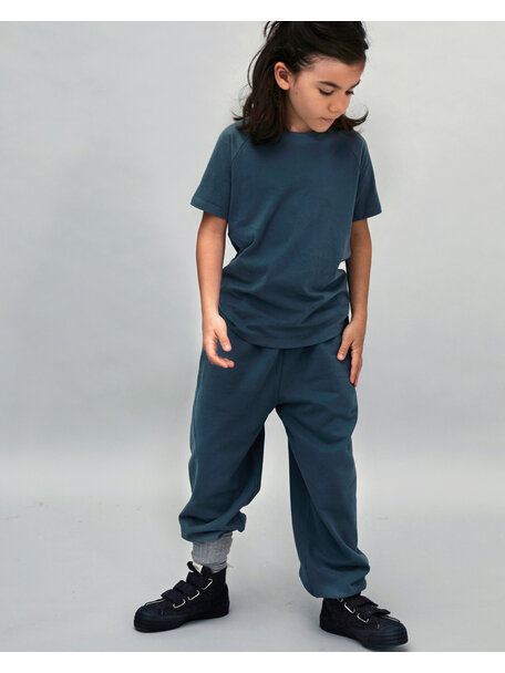 Gray Label Track pants - blue grey