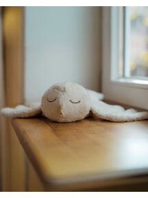 Senger Cuddly owl / heat cushion - small