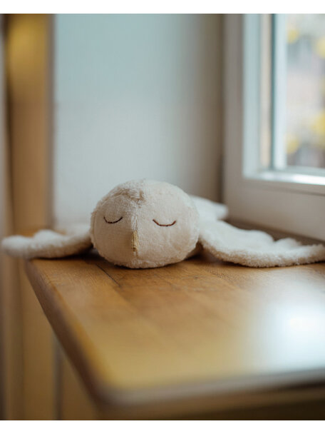 Senger Cuddly owl / heat cushion - small