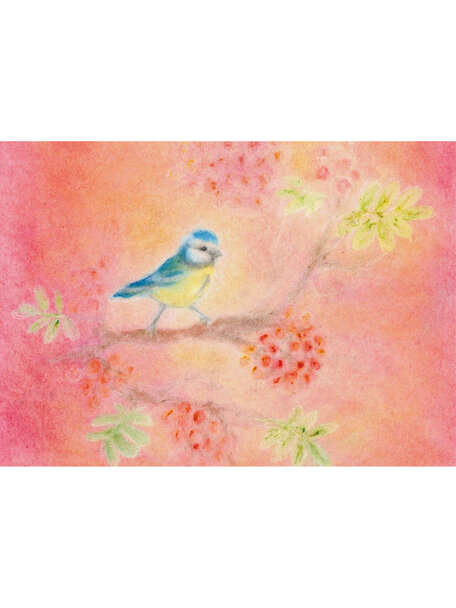 Seccorell Postcard - blue tit
