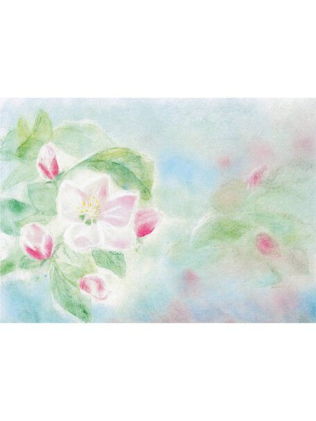 Seccorell Postcard - apple blossom